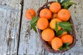 Basket of mandarins