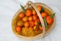 A basket of mandarins on white background