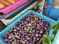 basket of mini baby purple eggplant. Royalty Free Stock Photo