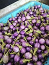 basket of mini baby purple eggplant. Royalty Free Stock Photo