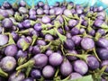 basket of mini baby purple eggplant. Royalty Free Stock Photo