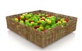 Basket of mixed apples Royalty Free Stock Photo