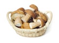 Basket with mushroom