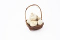 Basket with mushrooms Royalty Free Stock Photo