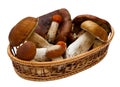 Basket with mushrooms isolated