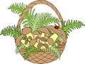 Basket with mushrooms. Mushroom time. Festive postcard Vector illustration Royalty Free Stock Photo