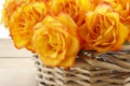 Basket of orange roses Royalty Free Stock Photo