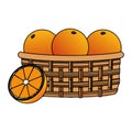 Oranges basket icon image design Royalty Free Stock Photo