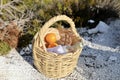 Basket with oranges Royalty Free Stock Photo