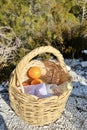 Basket with oranges Royalty Free Stock Photo