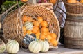 Basket of oranges and melons in a market stand of Moustiers Sainte-Marie in Provence, France Royalty Free Stock Photo