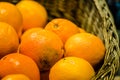 Ripe fruits of Orange, close up Royalty Free Stock Photo