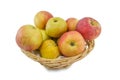 Basket of organic apples