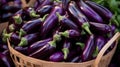 Basket overflowing with vibrant, ripe aubergines