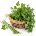 Basket of parsley isolated on white background Royalty Free Stock Photo