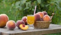 A basket of peaches and a glass of peach juice