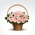 Basket of Pink Roses Isolated