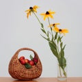 Basket of plums and flowers Royalty Free Stock Photo