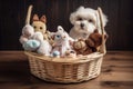 a basket of plush toys for a cat or dog, with a bottle of treats nearby Royalty Free Stock Photo