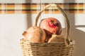 Basket with pomegranates