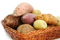 Basket of Potatoes Royalty Free Stock Photo