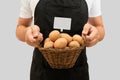 A basket with potatoes and a price tag in the hands of a farmer on a gray background. Harvesting Royalty Free Stock Photo