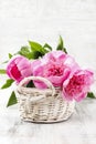 Basket of pretty pink peonies, white rustic background, copy spa