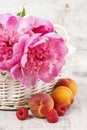 Basket of pretty pink peonies, white rustic background,