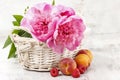 Basket of pretty pink peonies, white rustic background,