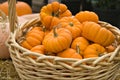 Basket of Pumpkins