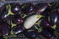 A basket of purple and white eggplants Royalty Free Stock Photo