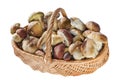 Basket with real wild mushrooms