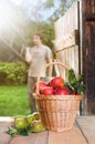 Basket with red apples