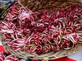 Basket with Red Chicory