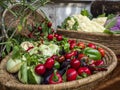 A basket of red chillies Royalty Free Stock Photo