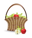 Basket of red and green apples Royalty Free Stock Photo