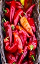 Basket of red hot peppers Royalty Free Stock Photo