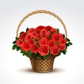 Basket of Red Roses Isolated