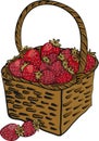 basket with strawberries, vector