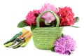 Basket with rhododendron flower heads and garden tools Royalty Free Stock Photo