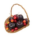 Basket of ripe cherries and plums Royalty Free Stock Photo