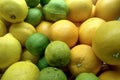 Basket of ripe citrus fruits displayed in a market ready to be bought and enjoyed. mandarin, orange, lemon, green lime for