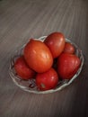 a basket of ripe and freshly picked organic red tomatoes Royalty Free Stock Photo