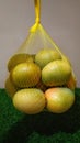 a basket of ripe Gedong Gincu mangoes