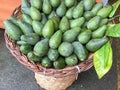 a basket of ripe green avocados in a market Royalty Free Stock Photo