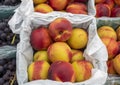 Basket of Ripe juicy nectarines at a fruit stand for sale Royalty Free Stock Photo