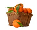 Basket of ripe mandarins.