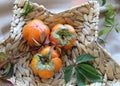 basket with ripe orange persimmons. beautiful background texture. juicy fruits. vitamins