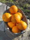 Basket of ripe oranges