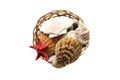 Basket of sea shells isolated Royalty Free Stock Photo